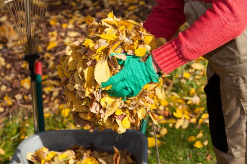 Residential waste management services in Thames Ditton